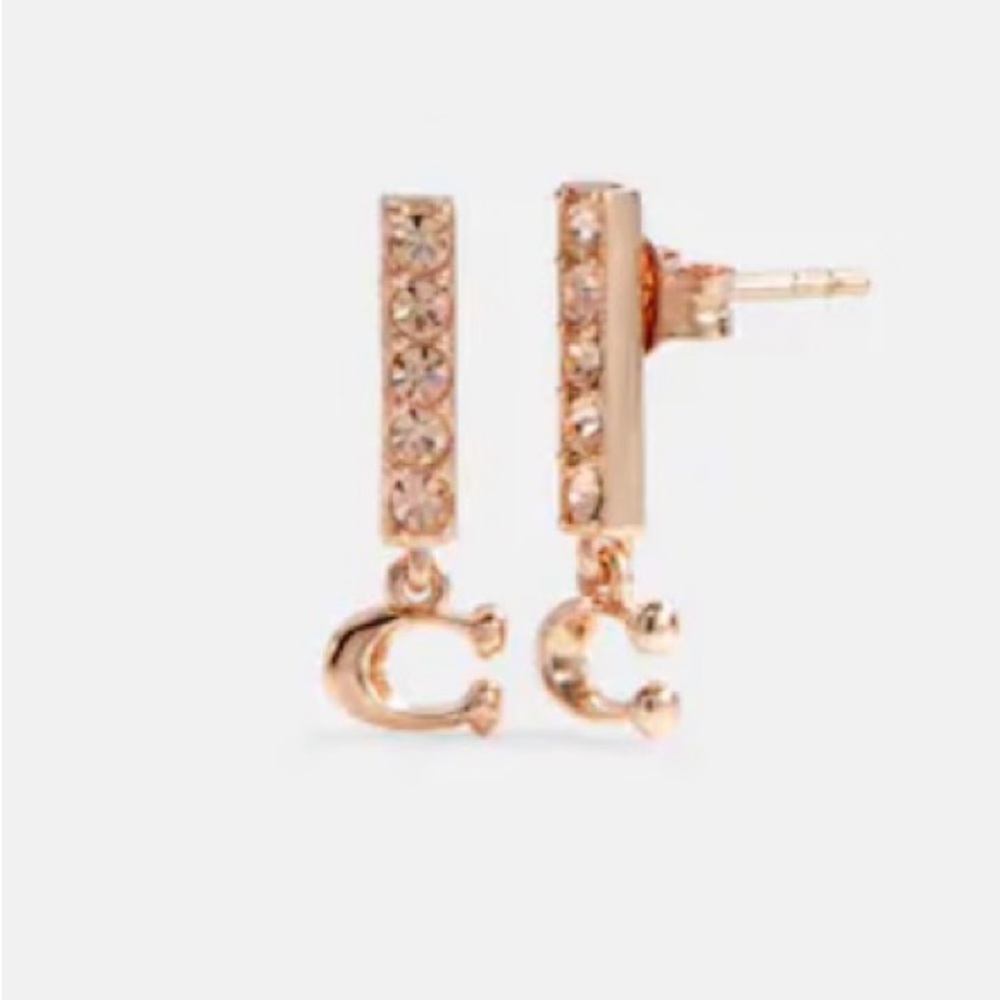 NWT Beautiful  Coach Earrings